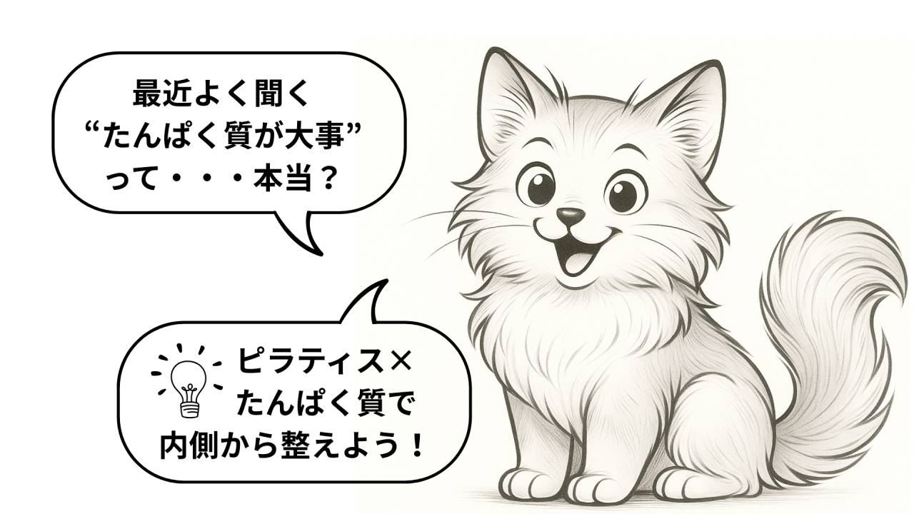 女性が一日に必要なたんぱく質